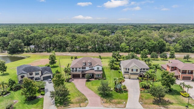 17724 Daisy Farm Dr, Lutz, FL 33559 - aerial perspective of suburban area featuring a heavily wooded area and a large body of water