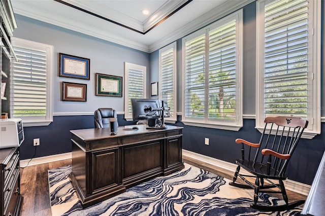 17724 Daisy Farm Dr, Lutz, FL 33559 - office area featuring wood finished floors, plenty of natural light, and crown molding