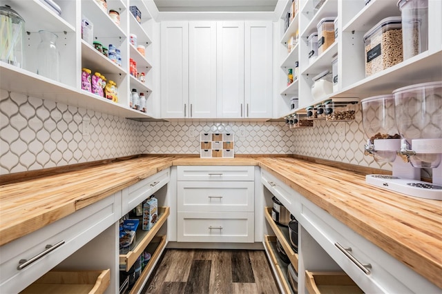17724 Daisy Farm Dr, Lutz, FL 33559 - view of pantry