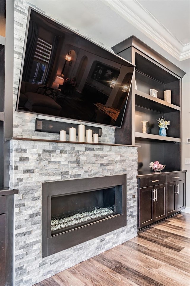 17724 Daisy Farm Dr, Lutz, FL 33559 - detailed view of a fireplace, ornamental molding, and wood finished floors