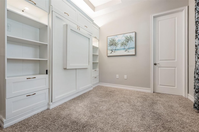 17724 Daisy Farm Dr, Lutz, FL 33559 - unfurnished bedroom with carpet