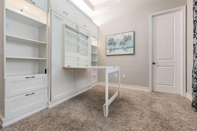 17724 Daisy Farm Dr, Lutz, FL 33559 - unfurnished office with carpet and baseboards