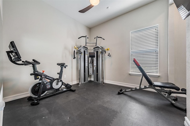 17724 Daisy Farm Dr, Lutz, FL 33559 - exercise room featuring a ceiling fan and vaulted ceiling