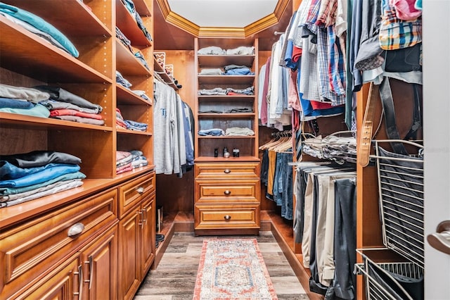 17724 Daisy Farm Dr, Lutz, FL 33559 - spacious closet featuring light wood-style flooring