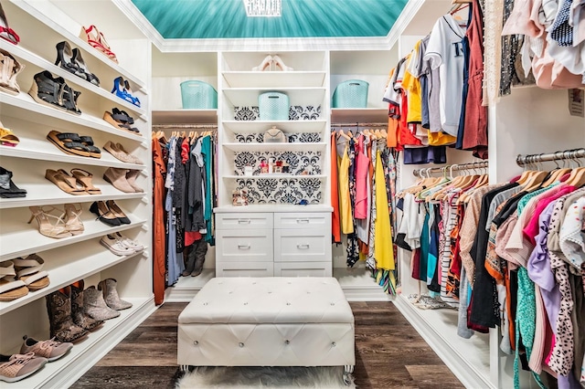 17724 Daisy Farm Dr, Lutz, FL 33559 - walk in closet featuring dark wood-type flooring