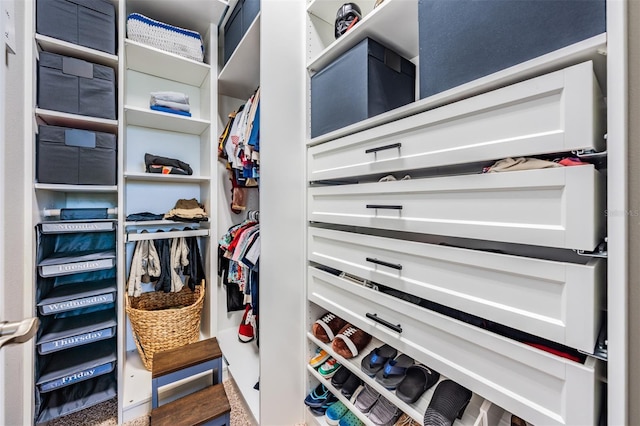 17724 Daisy Farm Dr, Lutz, FL 33559 - view of spacious closet