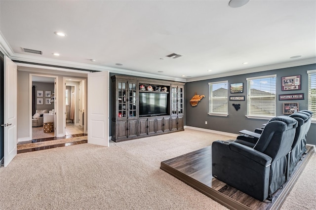 17724 Daisy Farm Dr, Lutz, FL 33559 - carpeted cinema featuring ornamental molding and recessed lighting