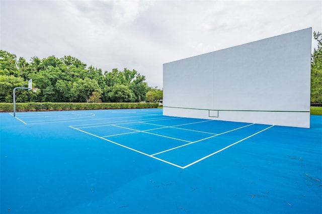 17724 Daisy Farm Dr, Lutz, FL 33559 - view of tennis court with community basketball court