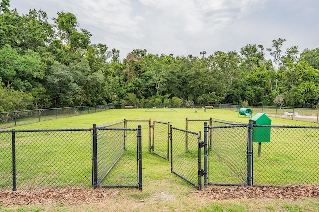 17724 Daisy Farm Dr, Lutz, FL 33559 - view of yard with a dog friendly area and a gate