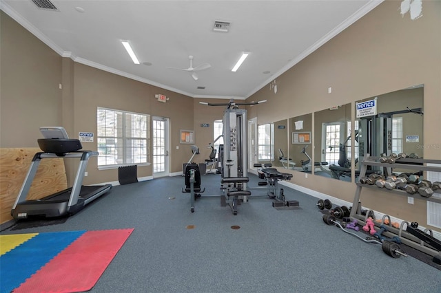 7001 Interbay Blvd Unit 242, Tampa, FL 33616 - gym with crown molding, a ceiling fan, baseboards, and carpet