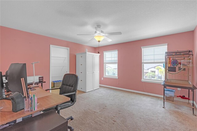 11684 Brighton Knoll Loop, Riverview, FL 33579 - carpeted office space featuring a ceiling fan, baseboards, and a textured ceiling