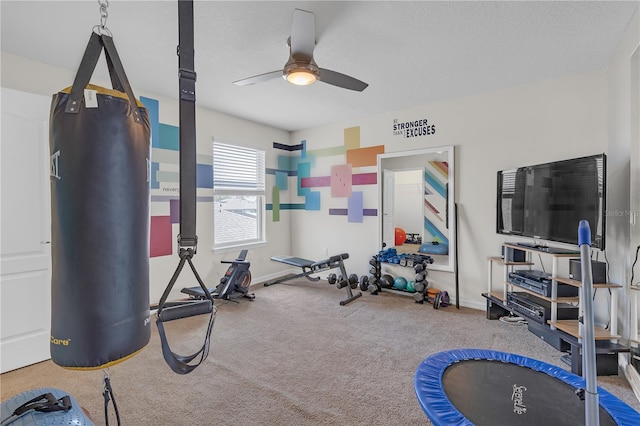11684 Brighton Knoll Loop, Riverview, FL 33579 - exercise area featuring ceiling fan, carpet flooring, and baseboards