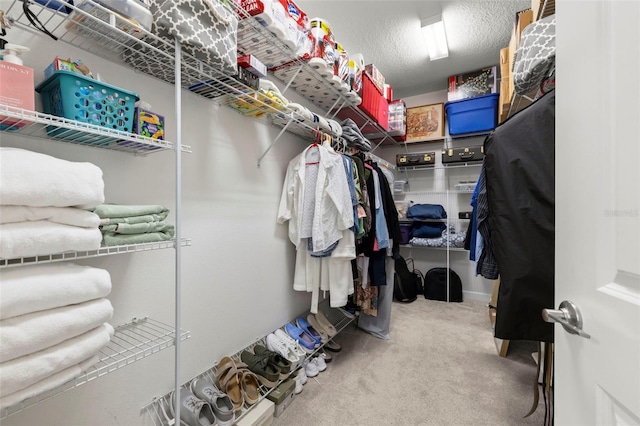 3972 Wisdom Trl, Land O Lakes, FL 34638 - walk in closet featuring carpet
