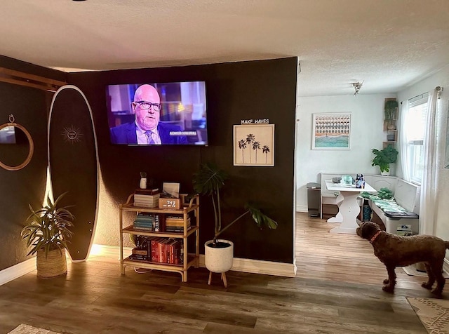 6741 4th Ave N, Saint Petersburg, FL 33710 - living area with wood finished floors, a textured ceiling, and baseboards