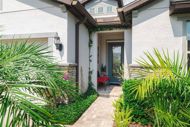 7912 Yale Harbor Dr, Wesley Chapel, FL 33545 - photo 3
