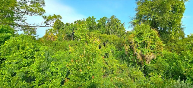 view of wooded area
