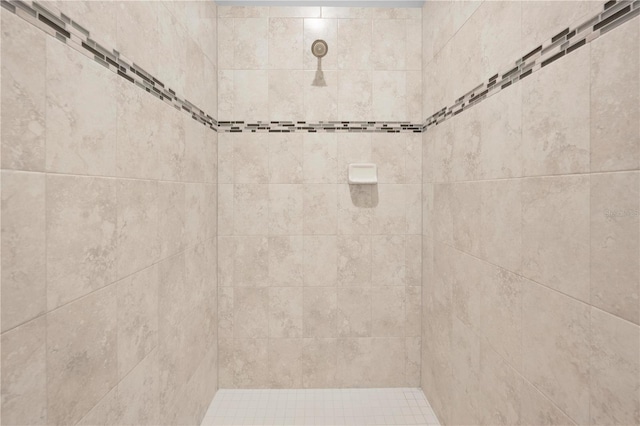 17618 Cortes Creek Blvd, Spring Hill, FL 34610 - bathroom with a tile shower