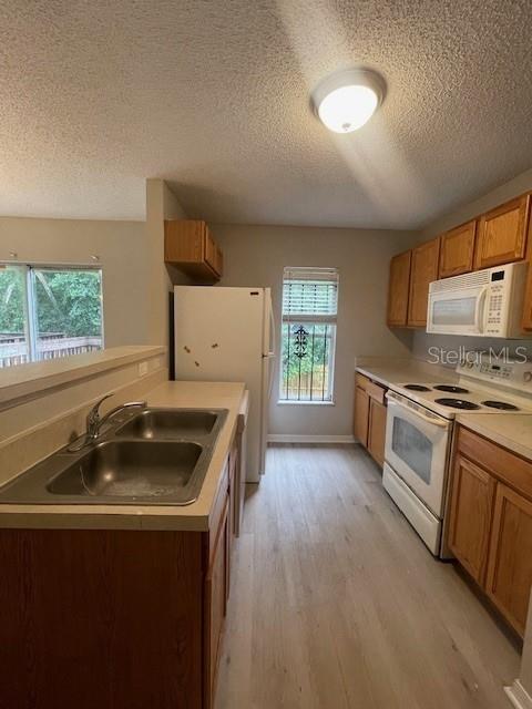 4617 Ashburn Square Dr, Tampa, FL 33610 - photo 11