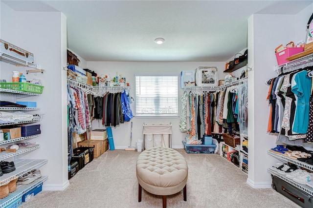 13111 Bahia Grass Ln, Riverview, FL 33579 - spacious closet featuring carpet floors