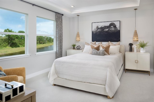 17420 Moonflower Dr Unit 201, Venice, FL 34293 - bedroom featuring carpet floors, a raised ceiling, and baseboards