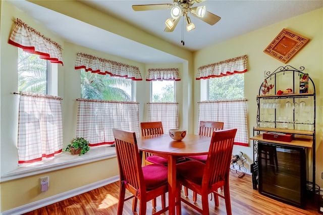 550 Salmon Ct, Oldsmar, FL 34677 - photo 9