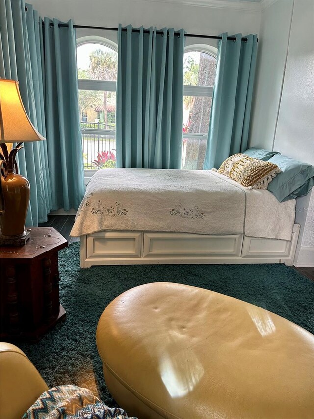 1020 38th Ave N, Saint Petersburg, FL 33704 - bedroom with multiple windows