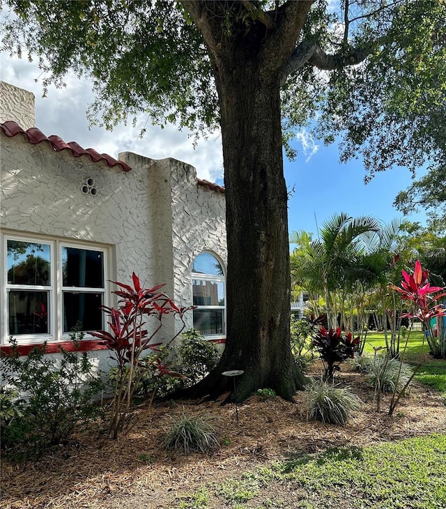 1020 38th Ave N, Saint Petersburg, FL 33704 - view of side of home featuring stucco siding