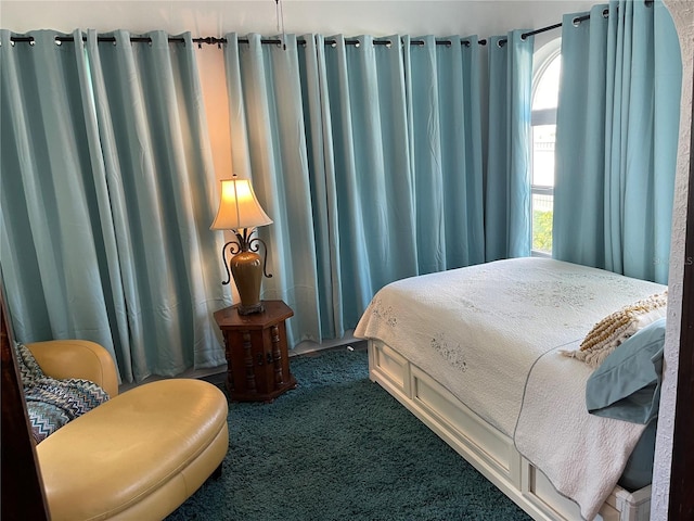 1020 38th Ave N, Saint Petersburg, FL 33704 - bedroom featuring dark colored carpet