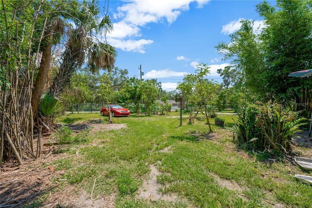 6104 Palm Ave, Gibsonton, FL 33534 - view of yard