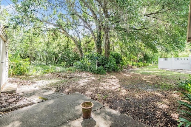 3542 Castle Dr, Zephyrhills, FL 33540 - view of yard