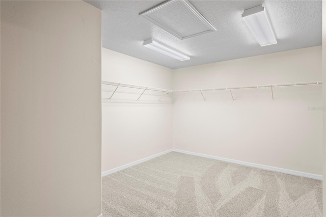 7249 Bridgeview Dr, Wesley Chapel, FL 33545 - spacious closet with light colored carpet and attic access