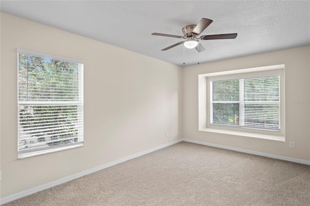 7249 Bridgeview Dr, Wesley Chapel, FL 33545 - empty room with carpet flooring, ceiling fan, and a textured ceiling