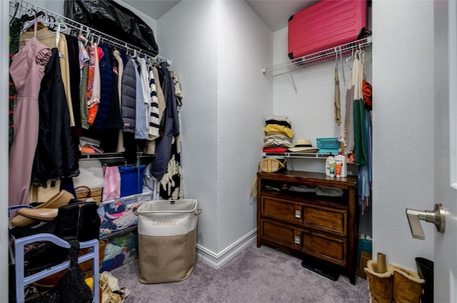 3952 Aldea Way, Wesley Chapel, FL 33543 - walk in closet featuring carpet