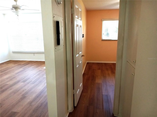 2447 Ecuadorian Way Unit 11, Clearwater, FL 33763 - hallway with dark wood-style floors and baseboards