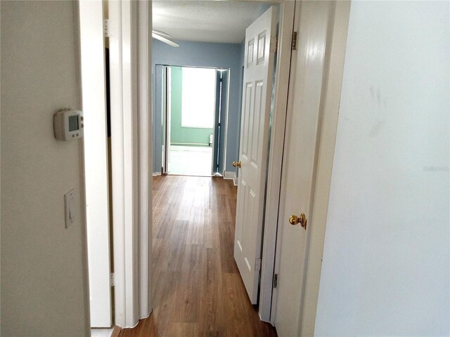 2447 Ecuadorian Way Unit 11, Clearwater, FL 33763 - photo 31