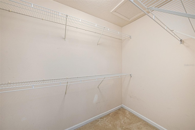 2542 Glenrise Pl, Wesley Chapel, FL 33544 - walk in closet featuring light carpet