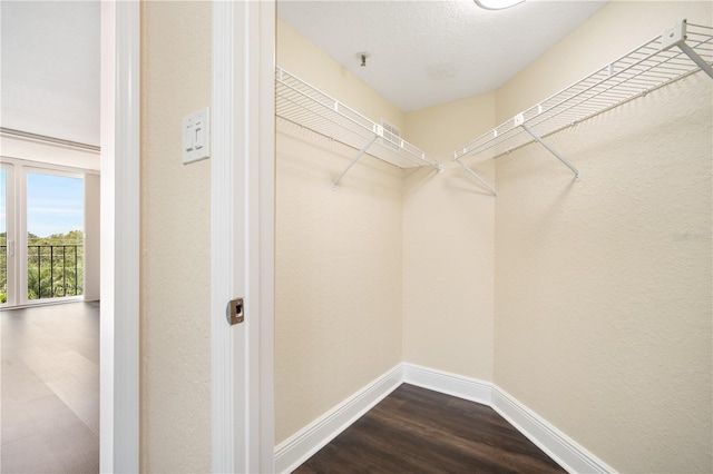 3211 W Swann Ave Unit 605, Tampa, FL 33609 - walk in closet featuring dark wood-style flooring