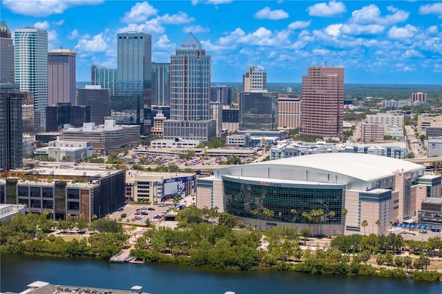 501 Knights Run Ave Unit 5103, Tampa, FL 33602 - view of city skyline featuring a nearby body of water