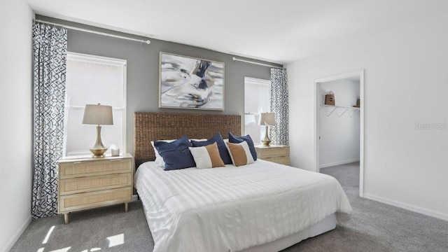 4401 Sand Dollar Way, Zephyrhills, FL 33541 - bedroom featuring carpet floors, a walk in closet, baseboards, and a closet