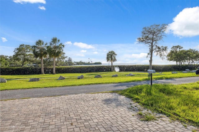 108 Shore Dr, Tarpon Springs, FL 34689 - view of home's community with a lawn