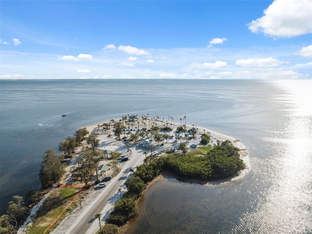 108 Shore Dr, Tarpon Springs, FL 34689 - aerial view of property and surrounding area with a large body of water