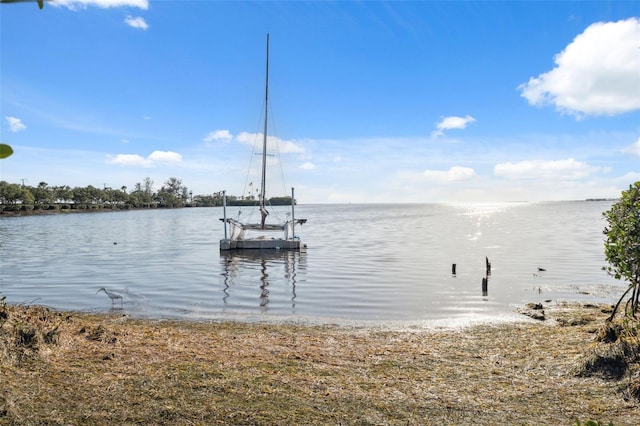 108 Shore Dr, Tarpon Springs, FL 34689 - dock with a water view