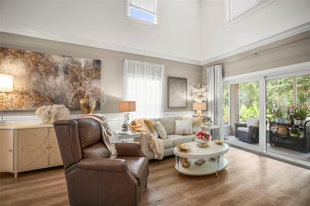 5332 Riverwalk Preserve Dr, New Port Richey, FL 34653 - living room with a high ceiling, wood finished floors, and a wainscoted wall
