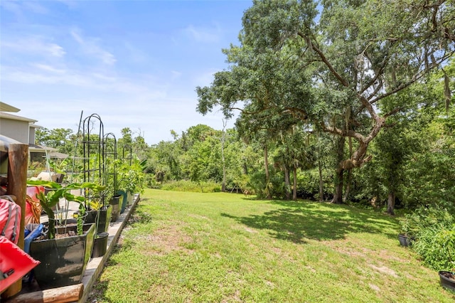 5332 Riverwalk Preserve Dr, New Port Richey, FL 34653 - view of grassy yard