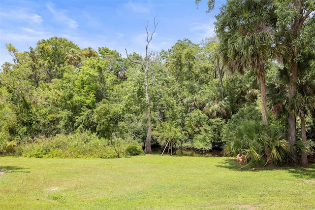 5332 Riverwalk Preserve Dr, New Port Richey, FL 34653 - view of grassy yard