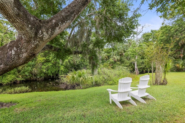 5332 Riverwalk Preserve Dr, New Port Richey, FL 34653 - view of green lawn
