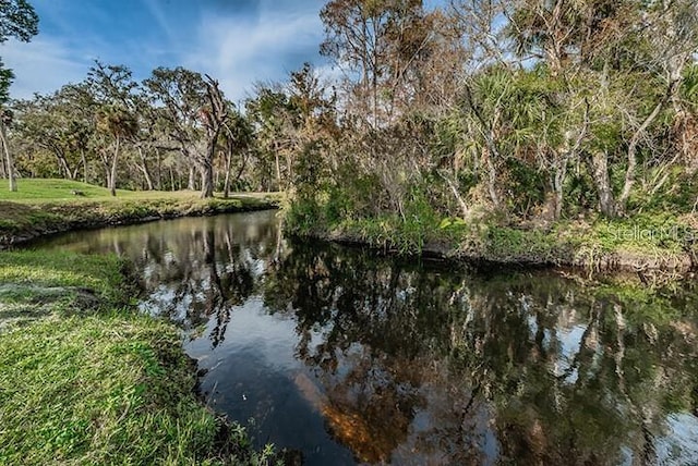 5332 Riverwalk Preserve Dr, New Port Richey, FL 34653 - water view