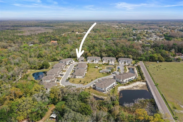 5332 Riverwalk Preserve Dr, New Port Richey, FL 34653 - aerial overview of property's location with a heavily wooded area and a large body of water