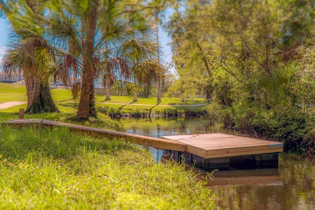 5332 Riverwalk Preserve Dr, New Port Richey, FL 34653 - photo 56