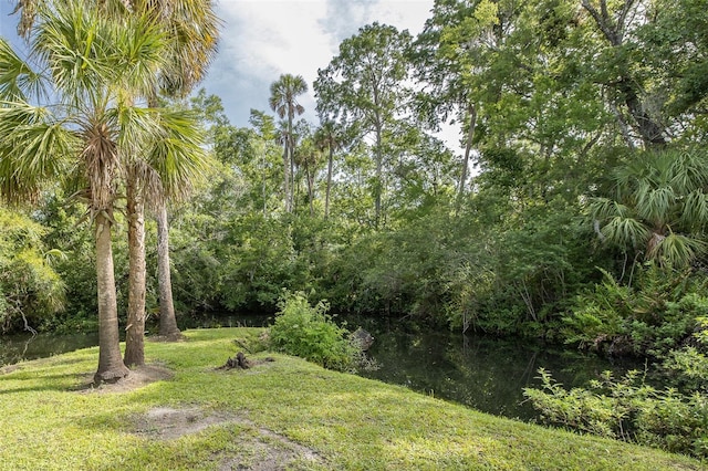 5332 Riverwalk Preserve Dr, New Port Richey, FL 34653 - photo 46